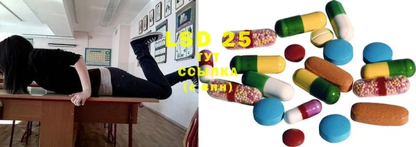 хмурый Белокуриха