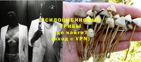 хмурый Белоозёрский