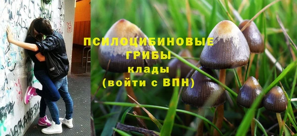 хмурый Белоозёрский