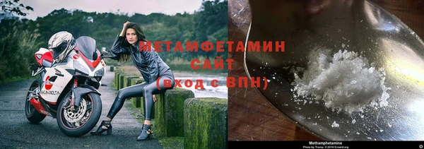 хмурый Белокуриха