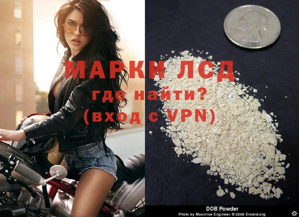 хмурый Белокуриха