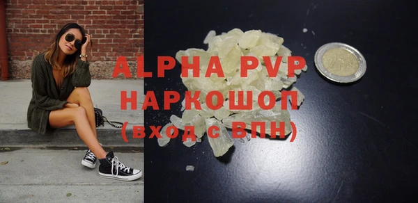 хмурый Белокуриха