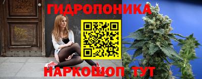эйфоретик Кимры