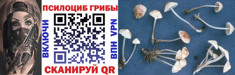 Псилоцибиновые грибы прущие грибы  Кузнецк 