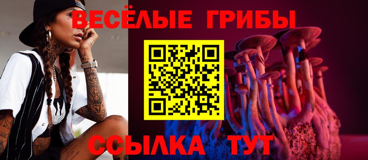 Кузнецк  Галлюциногенные грибы ЛСД  Галлюциногенные грибы мухоморы  купить наркотик  Вход с VPN 