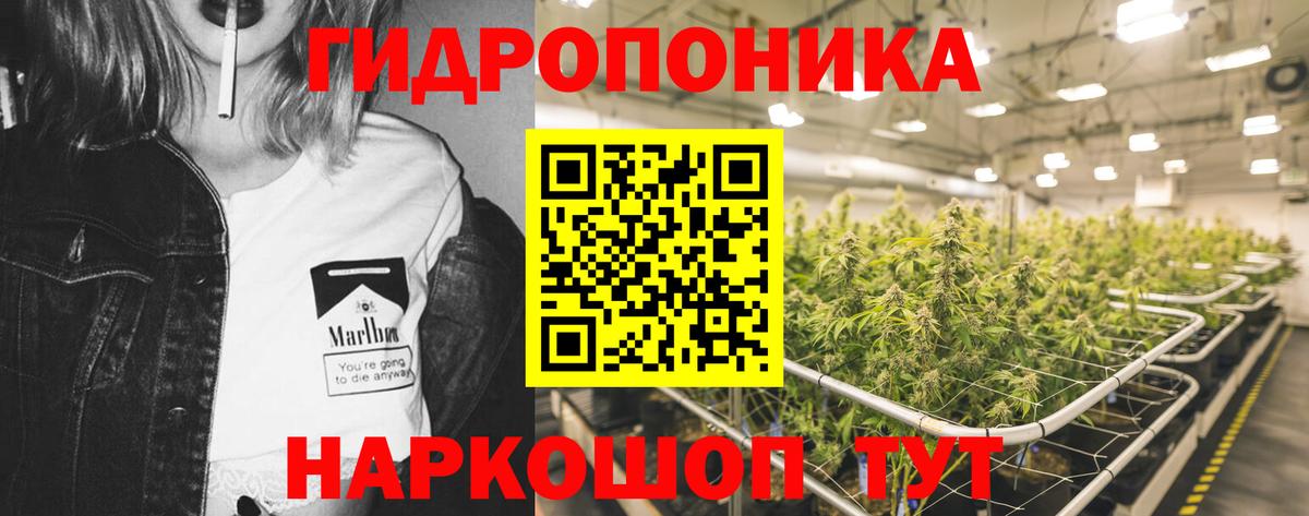 МАРИХУАНА марихуана Кузнецк